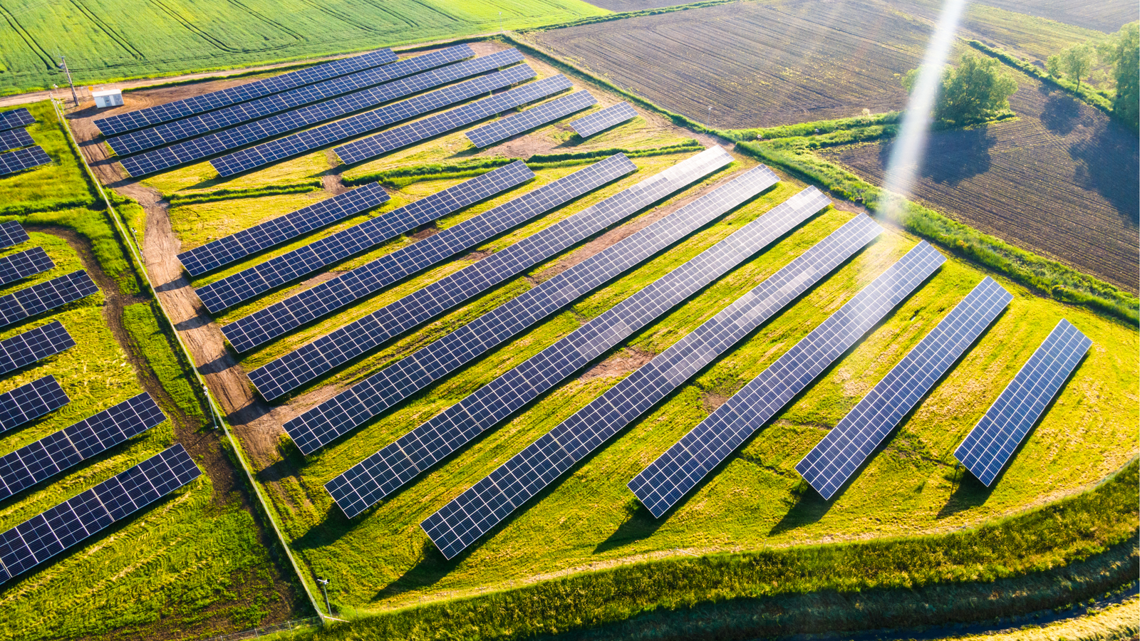 Rangées de panneaux solaires installés sur une terre agricole au Québec